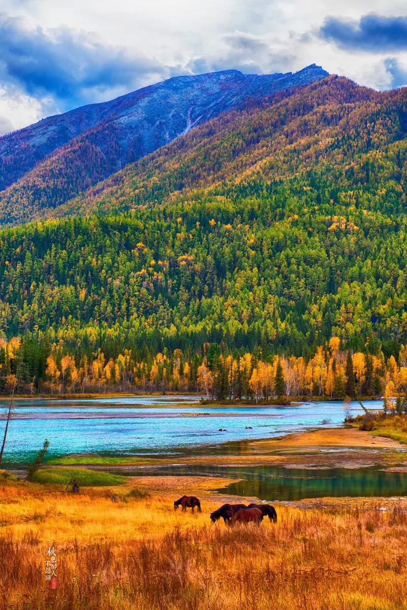 探寻新疆秘境，一步之遥的奇缘之旅